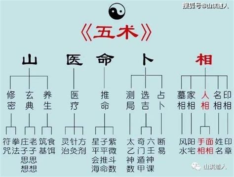 相学|中国民间玄学五术，即：山、医、命、卜、相。